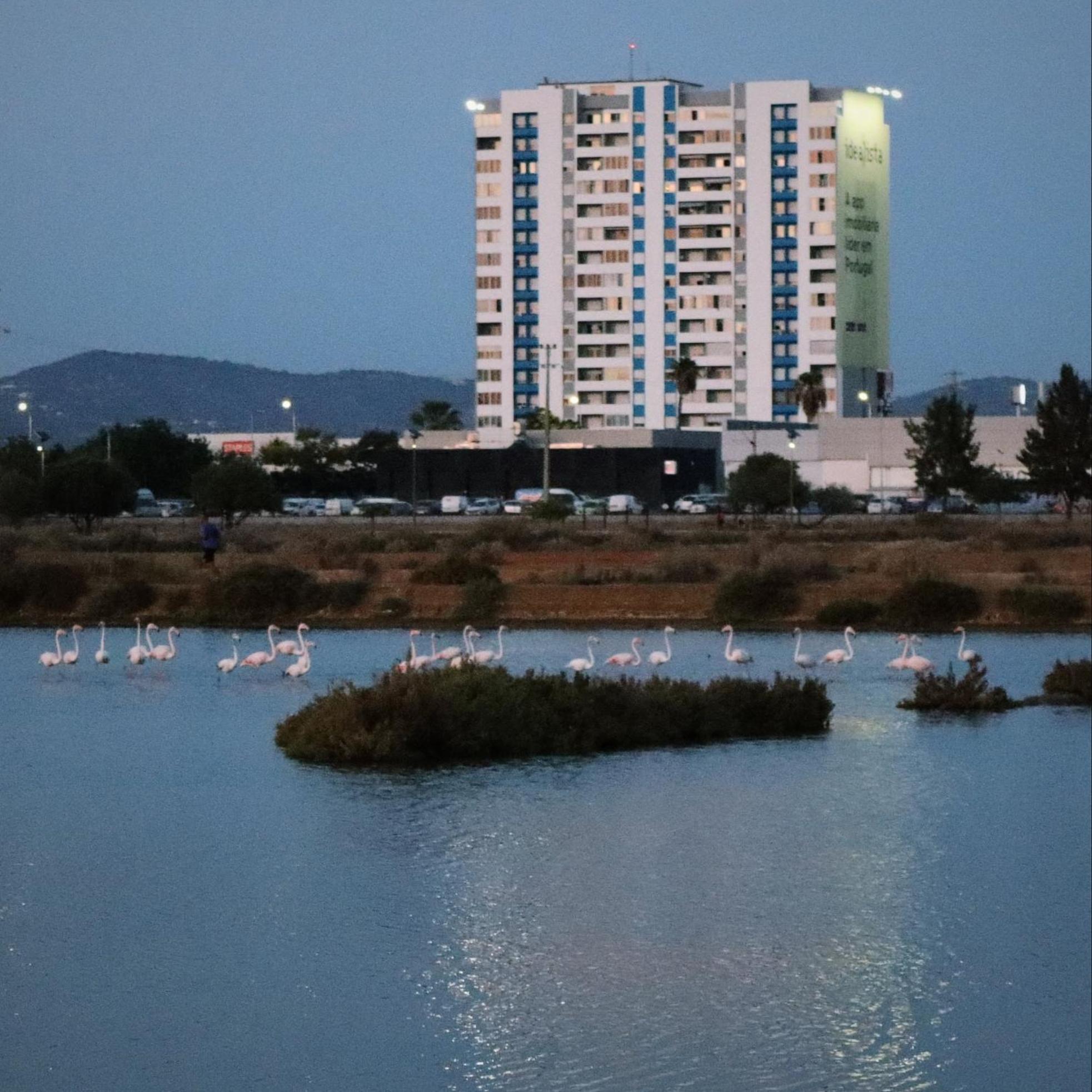 Sea View Apartment Φάρο Εξωτερικό φωτογραφία
